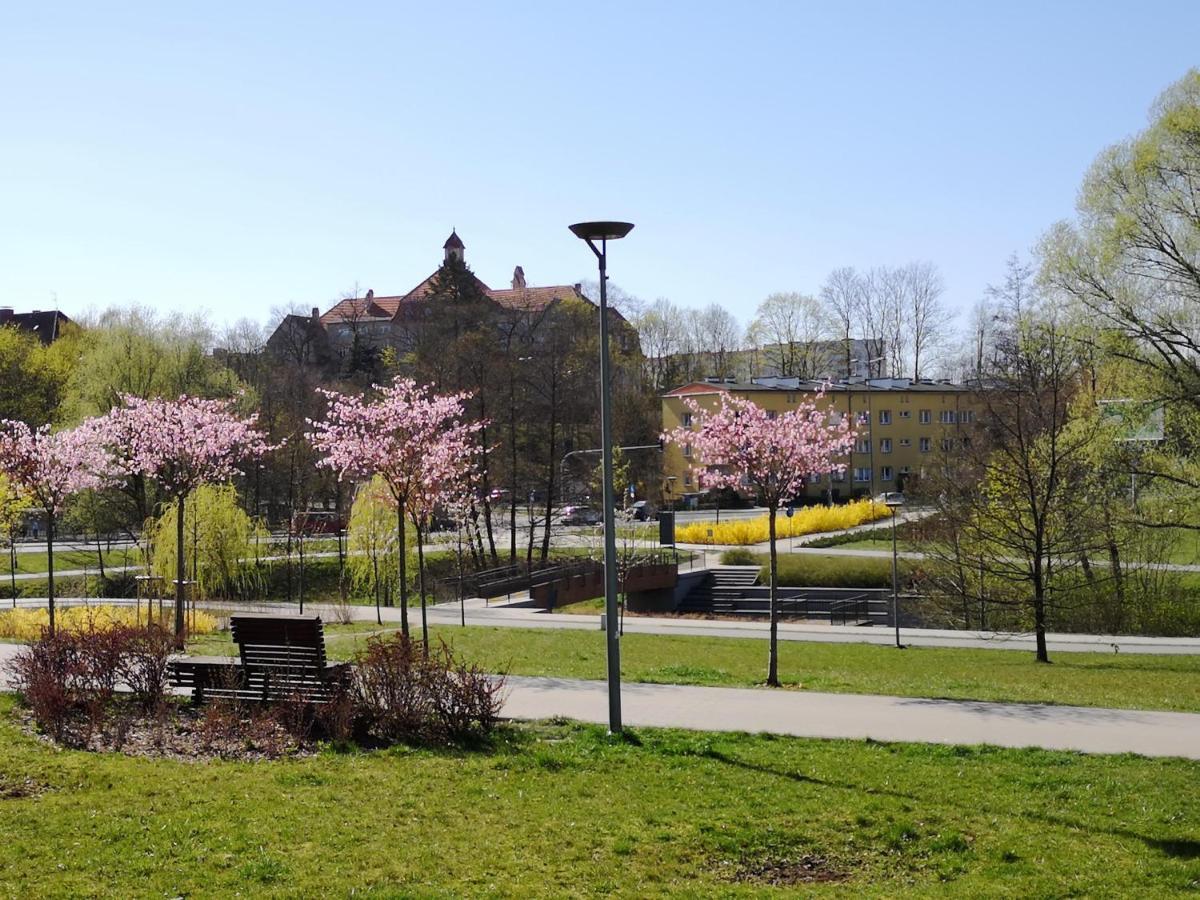 Villa Garden Paryski Olsztyn  Dış mekan fotoğraf